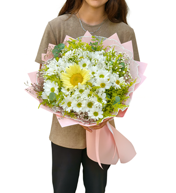 En güzel papatyalar papatya siparişi,papatya gönder