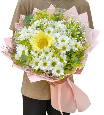 En güzel papatyalar papatya siparişi,papatya gönder